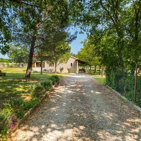 Pet Friendly In Nyaraló *